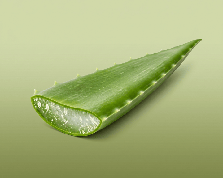Organic Aloe Vera